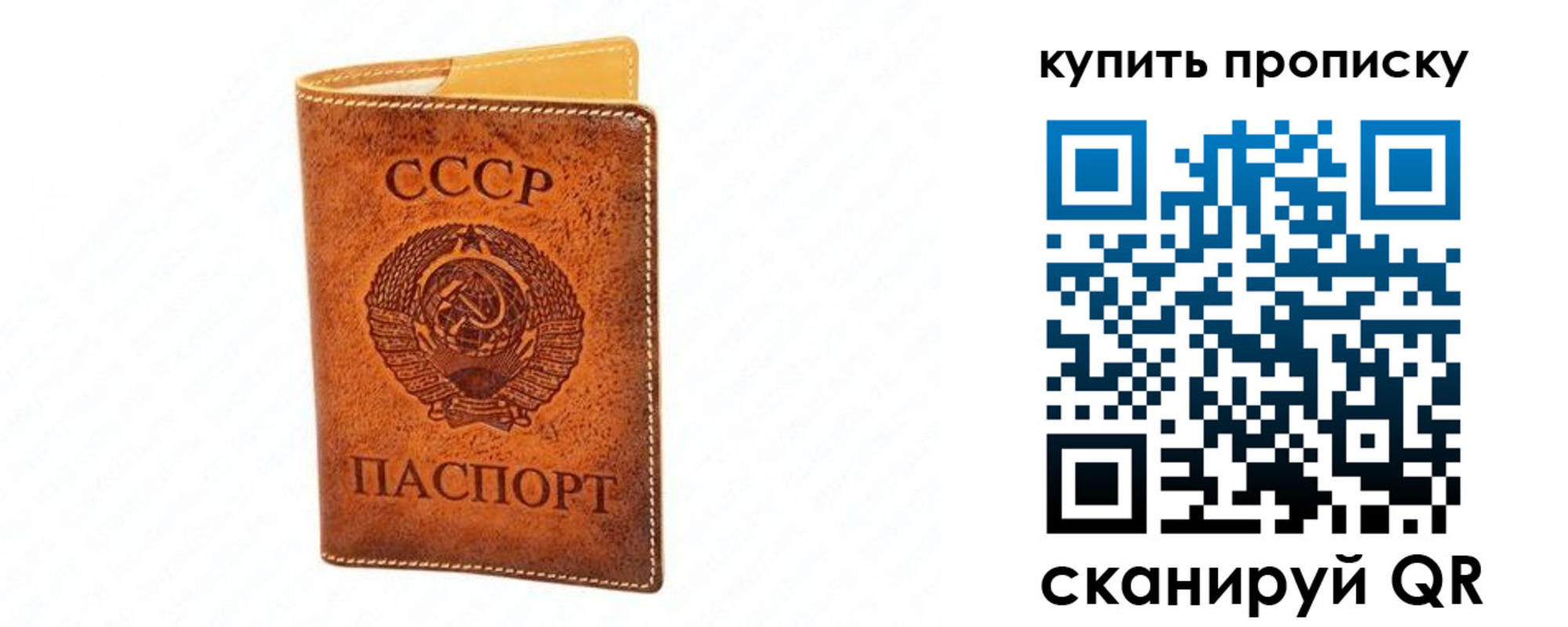прописка поиск в Светлом