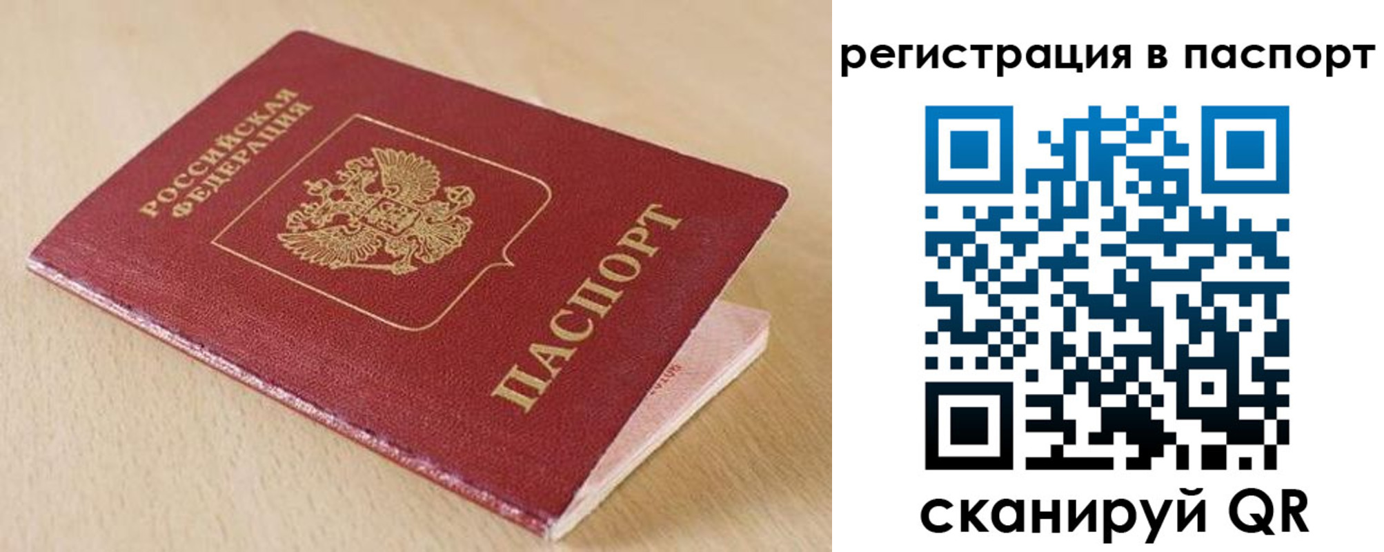 прописка поиск в Светлом