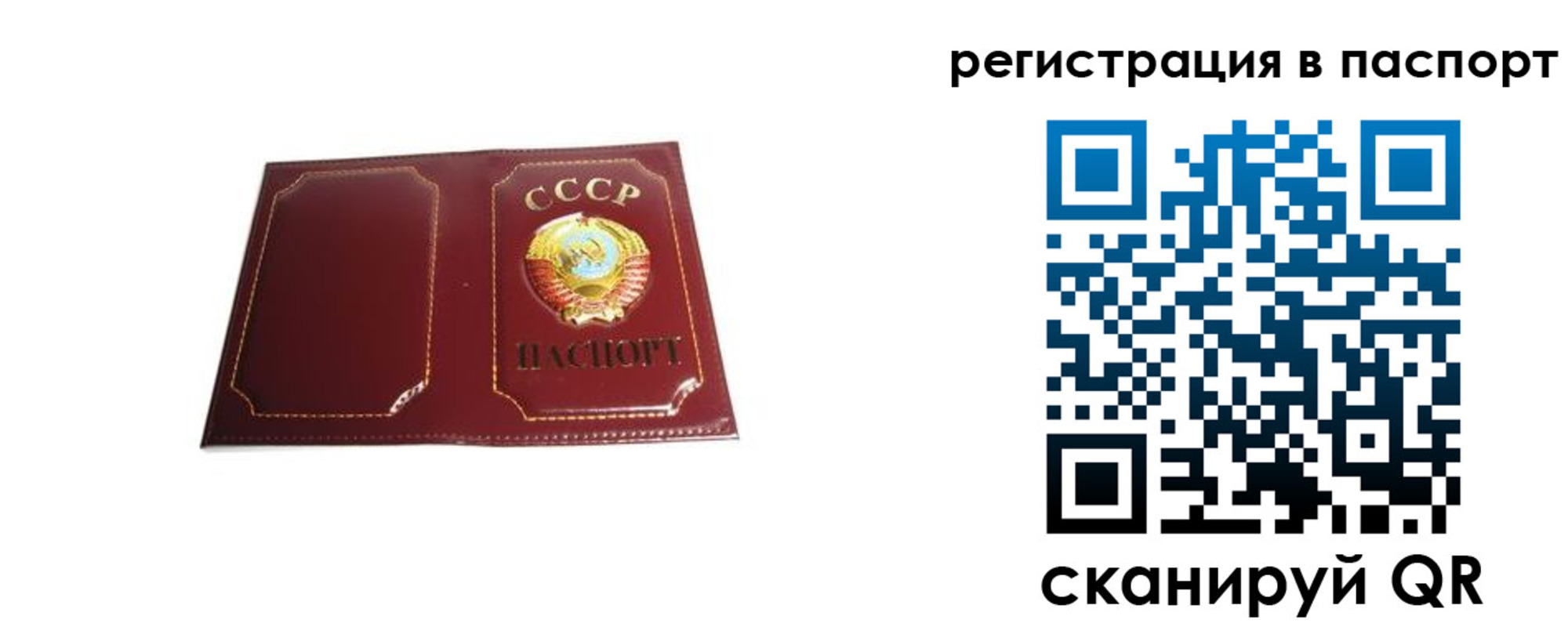 прописка 2025 в Светлом